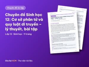 Ảnh bìa: Chuyên đề Sinh học 12: Cơ sở phân tử và quy luật di truyền – lý thuyết, bài tập